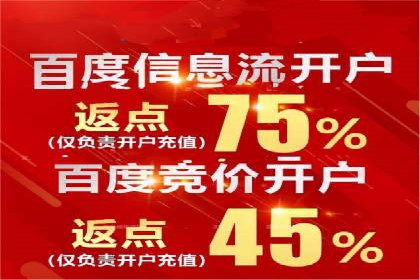 百度平台推广案例：低成本营销的成功之道